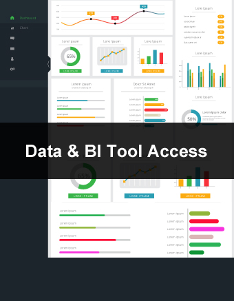 Data & BI Tool Access